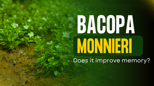 Does bacopa monnieri improve memory?