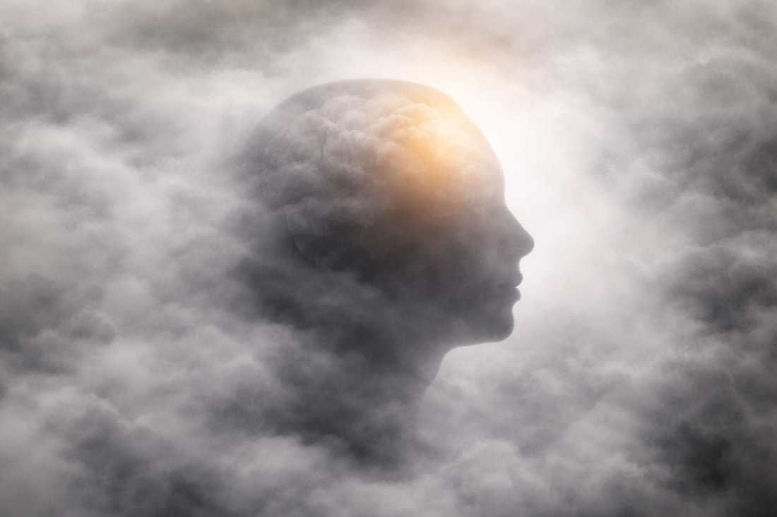 The Biology Behind Brain Fog and the Gut Brain Connection