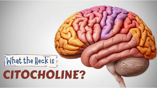 How Does Citicoline Work in the Brain? The Neurotransmitter Connection