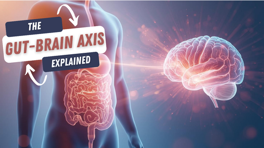 Gut Health and Memory