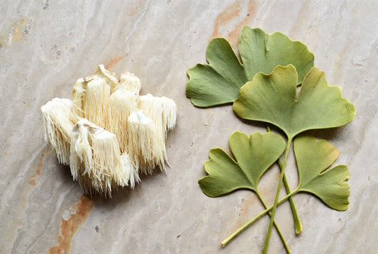 Lion's Mane vs. Ginkgo Biloba for Memory: What the Research Shows