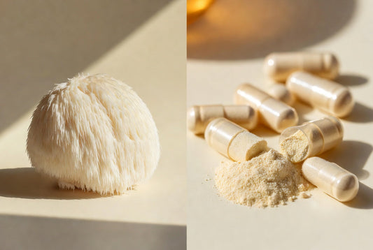 Why Two Lion's Mane Supplements Can Work Completely Differently